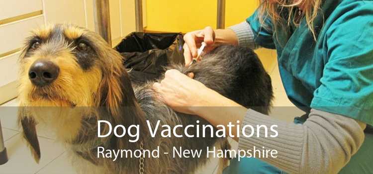 Dog Vaccinations Raymond - New Hampshire
