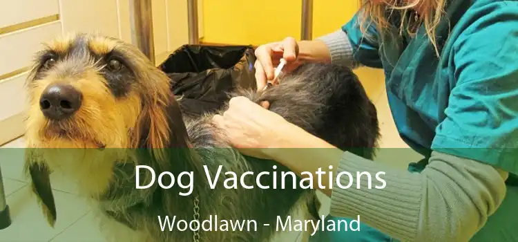 Dog Vaccinations Woodlawn - Maryland