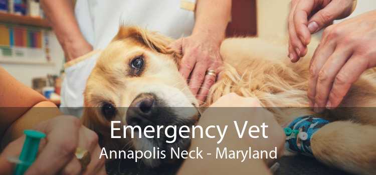 Emergency Vet Annapolis Neck - Maryland