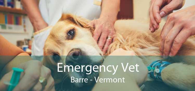 Emergency Vet Barre - Vermont