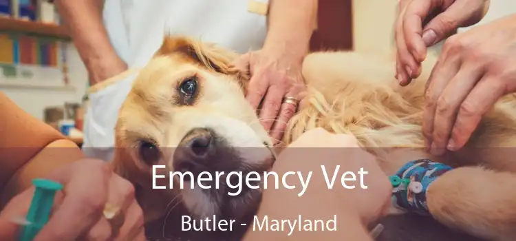 Emergency Vet Butler - Maryland