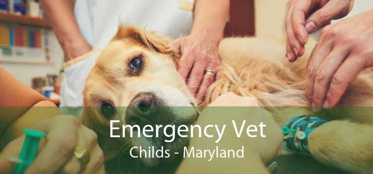Emergency Vet Childs - Maryland