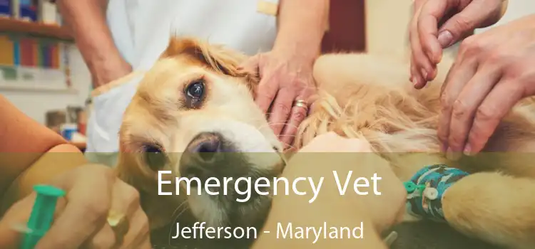 Emergency Vet Jefferson - Maryland