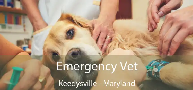 Emergency Vet Keedysville - Maryland