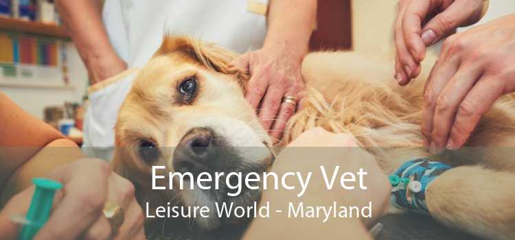 Emergency Vet Leisure World - Maryland