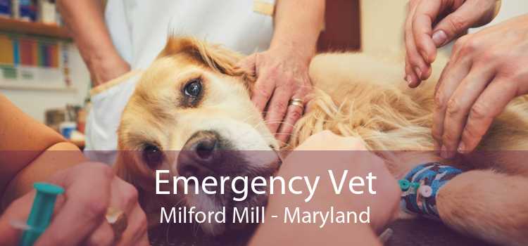 Emergency Vet Milford Mill - Maryland