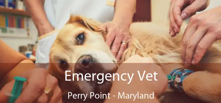 Emergency Vet Perry Point - Maryland