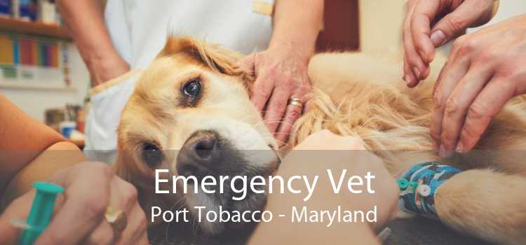 Emergency Vet Port Tobacco - Maryland