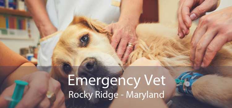 Emergency Vet Rocky Ridge - Maryland