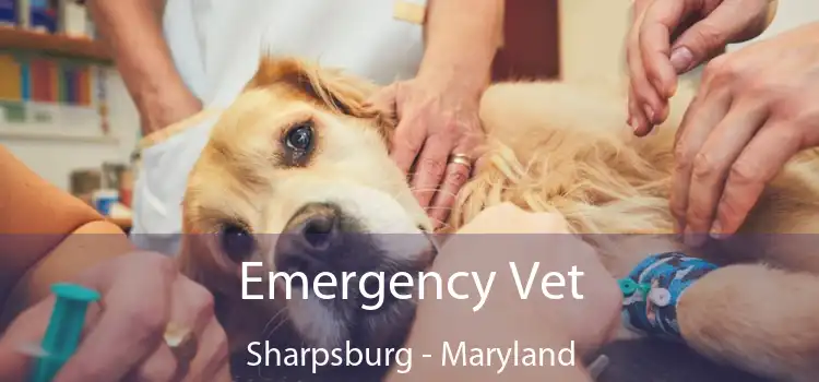 Emergency Vet Sharpsburg - Maryland