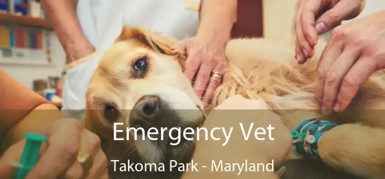 Emergency Vet Takoma Park - Maryland