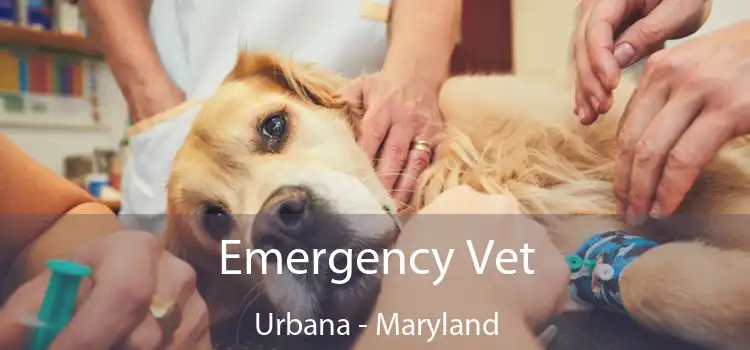 Emergency Vet Urbana - Maryland