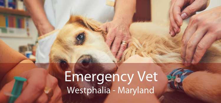 Emergency Vet Westphalia - Maryland