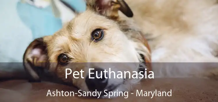 Pet Euthanasia Ashton-Sandy Spring - Maryland