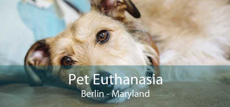 Pet Euthanasia Berlin - Maryland