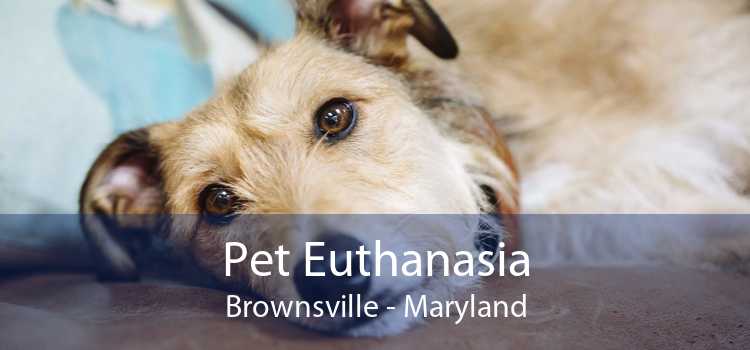 Pet Euthanasia Brownsville - Maryland