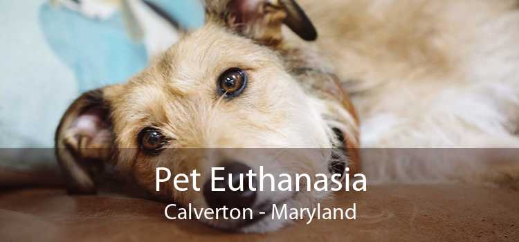 Pet Euthanasia Calverton - Maryland