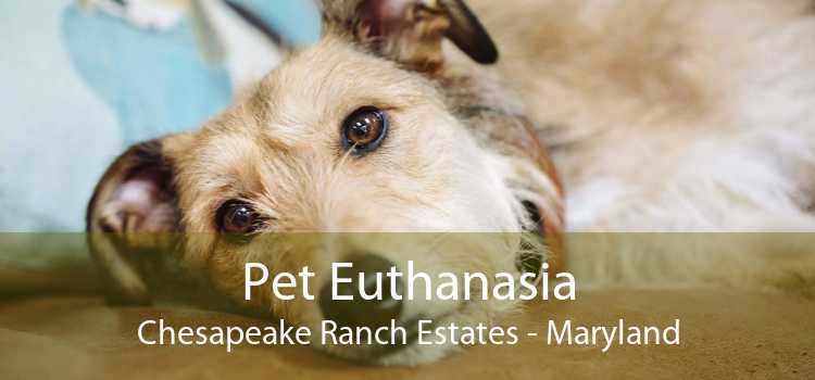 Pet Euthanasia Chesapeake Ranch Estates - Maryland