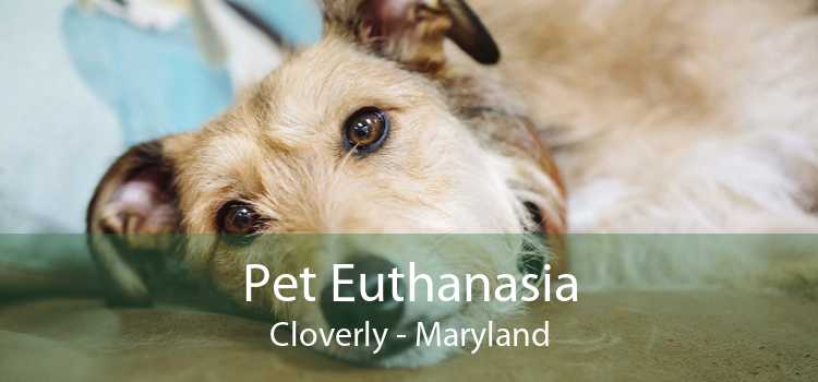 Pet Euthanasia Cloverly - Maryland