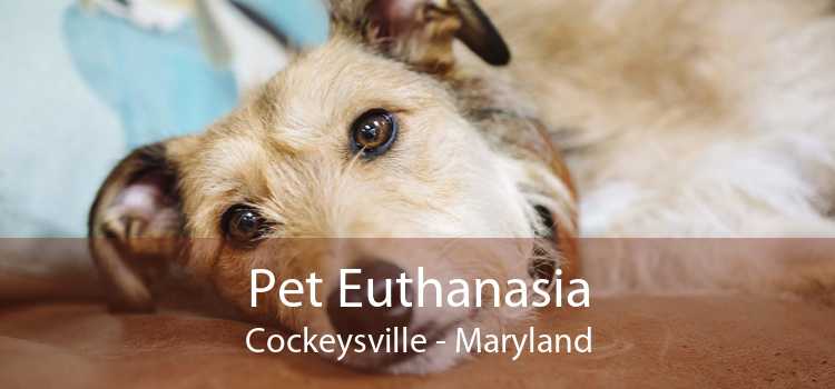 Pet Euthanasia Cockeysville - Maryland