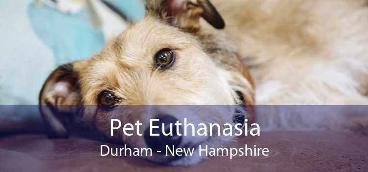 Pet Euthanasia Durham - New Hampshire