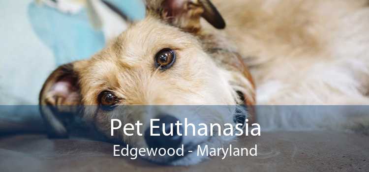 Pet Euthanasia Edgewood - Maryland