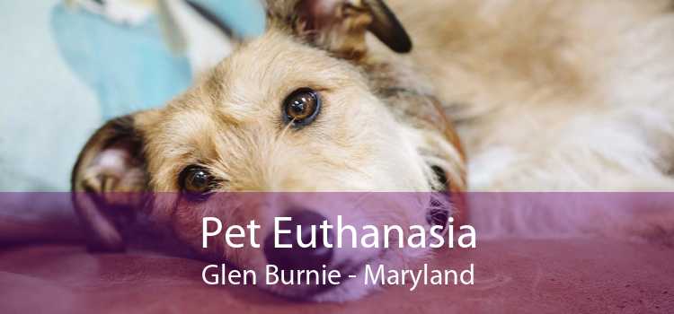 Pet Euthanasia Glen Burnie - Maryland