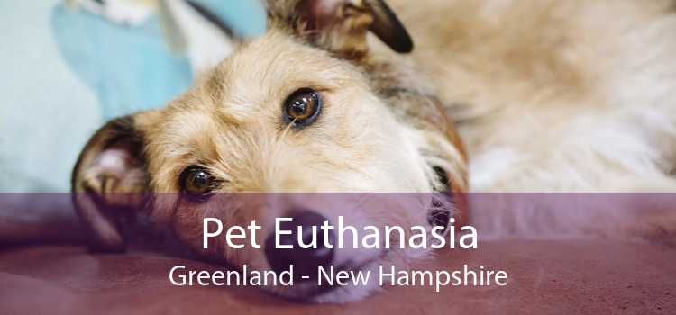Pet Euthanasia Greenland - New Hampshire
