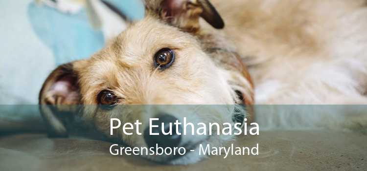 Pet Euthanasia Greensboro - Maryland