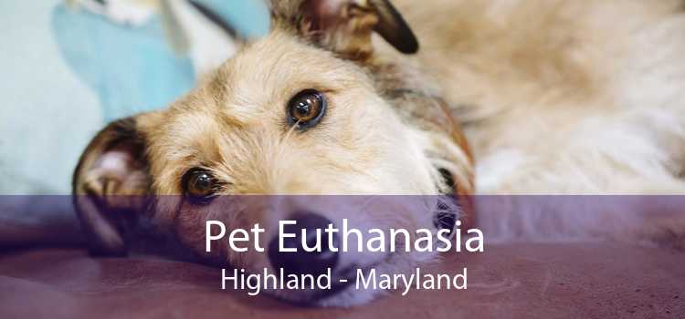 Pet Euthanasia Highland - Maryland