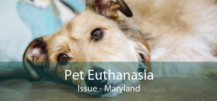 Pet Euthanasia Issue - Maryland