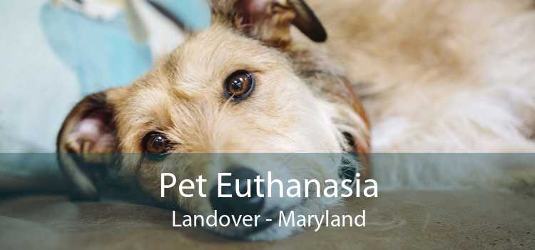 Pet Euthanasia Landover - Maryland