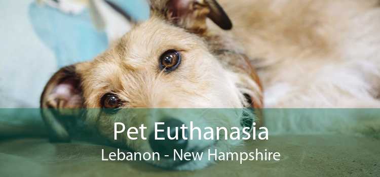 Pet Euthanasia Lebanon - New Hampshire