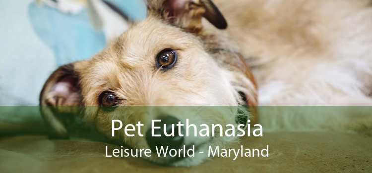 Pet Euthanasia Leisure World - Maryland
