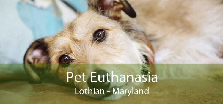 Pet Euthanasia Lothian - Maryland