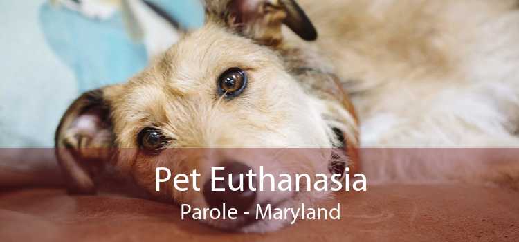 Pet Euthanasia Parole - Maryland