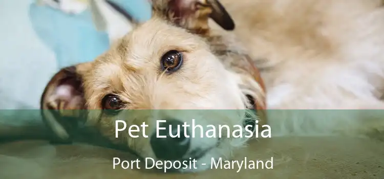 Pet Euthanasia Port Deposit - Maryland