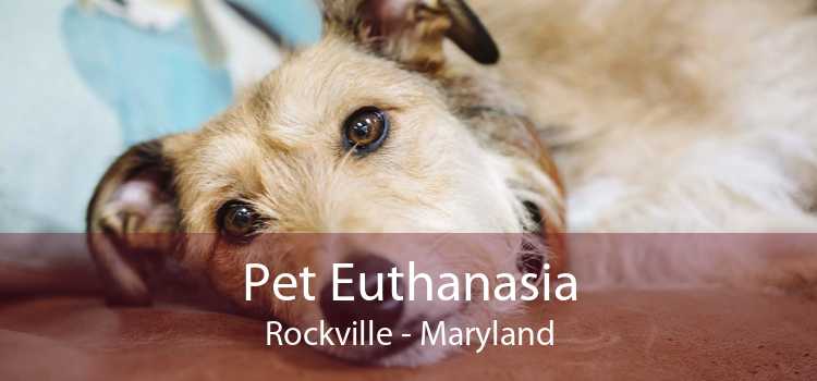 Pet Euthanasia Rockville - Maryland