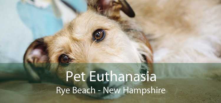 Pet Euthanasia Rye Beach - New Hampshire