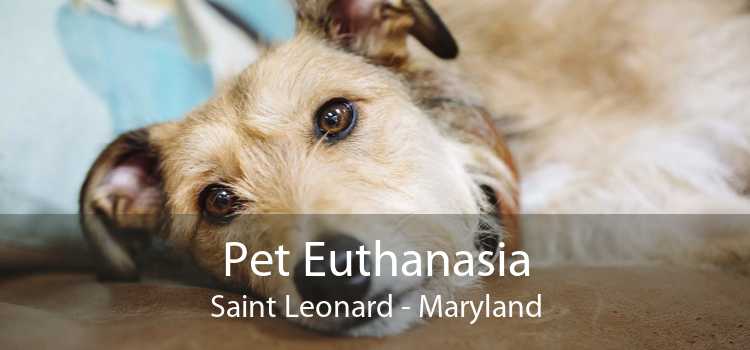 Pet Euthanasia Saint Leonard - Maryland