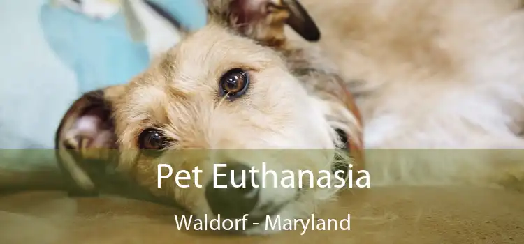 Pet Euthanasia Waldorf - Maryland