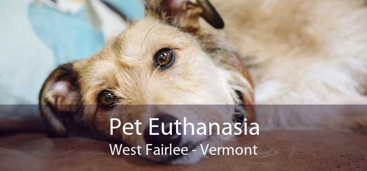 Pet Euthanasia West Fairlee - Vermont