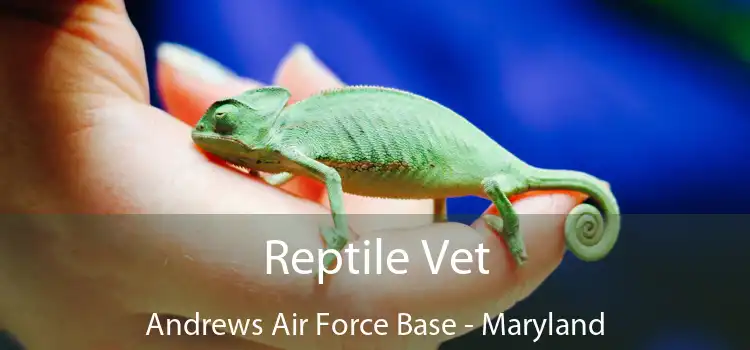 Reptile Vet Andrews Air Force Base - Maryland