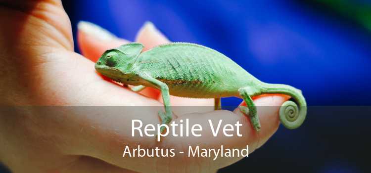 Reptile Vet Arbutus - Maryland