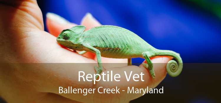 Reptile Vet Ballenger Creek - Maryland