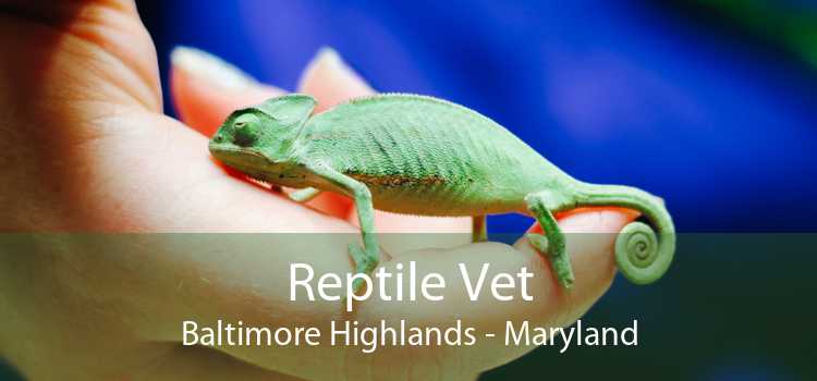 Reptile Vet Baltimore Highlands - Maryland
