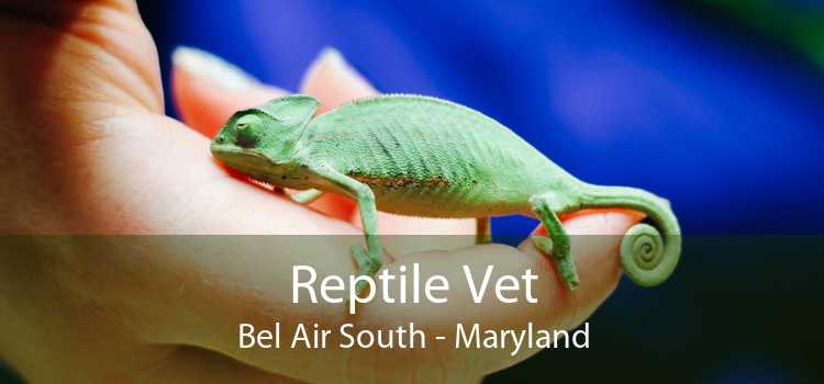 Reptile Vet Bel Air South - Maryland