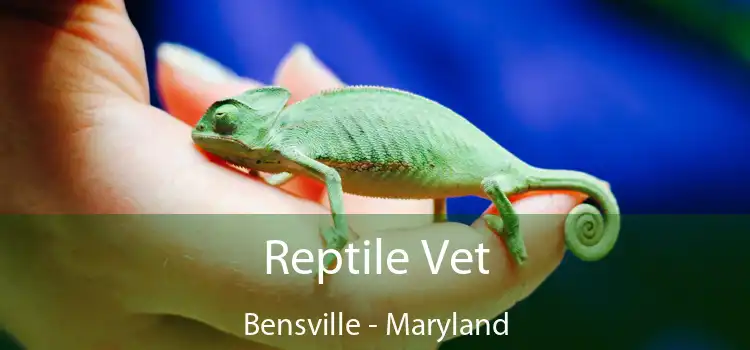 Reptile Vet Bensville - Maryland
