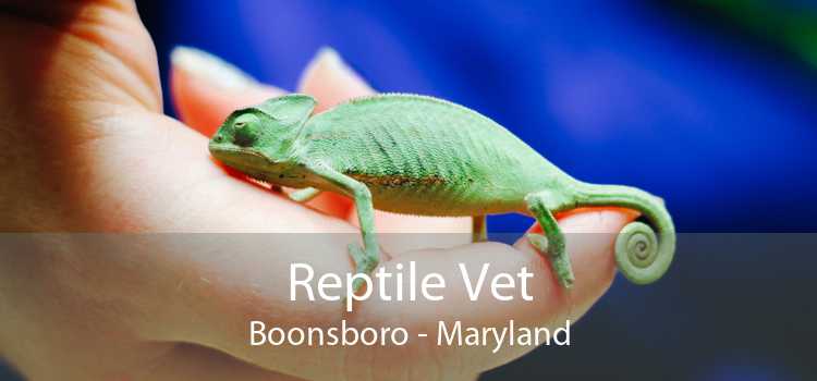 Reptile Vet Boonsboro - Maryland