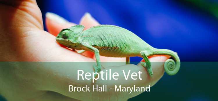 Reptile Vet Brock Hall - Maryland